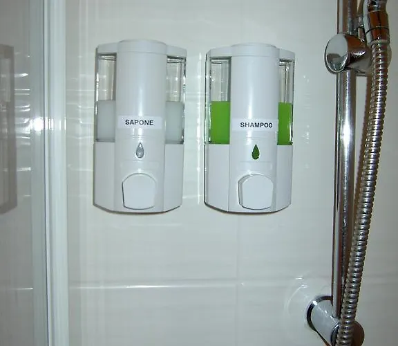 Отель Violetta *