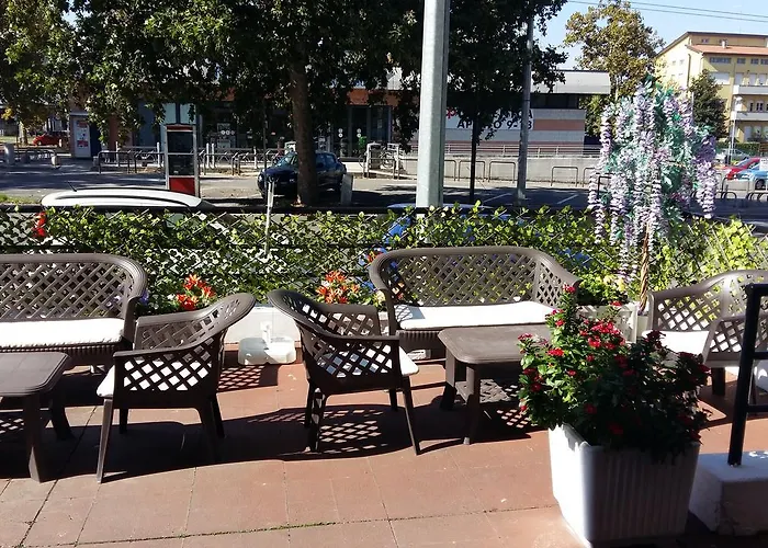 Отель Violetta *